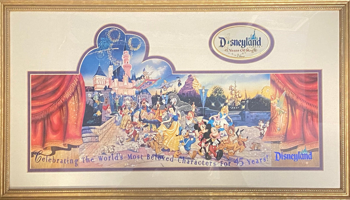 Disneyland 45 Years of Magic Commemorative Framed Print and Pin 