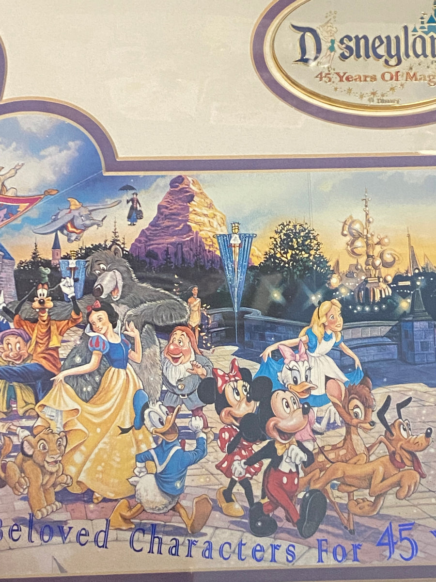 Disneyland 45 Years of Magic Commemorative Framed Print and Pin