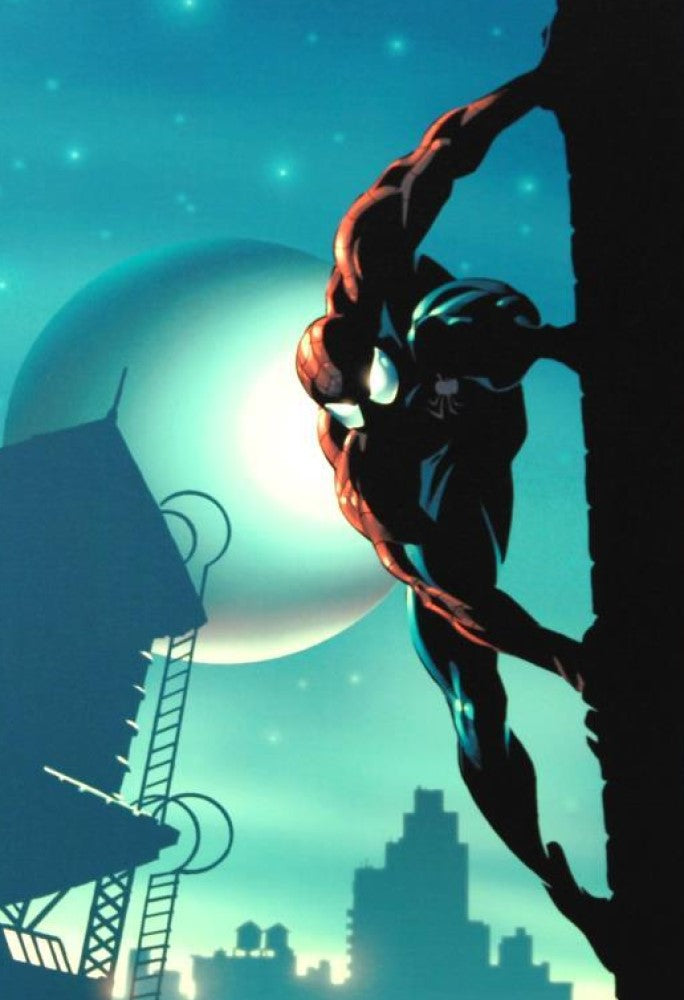 Amazing Spider-Man #521 - By Mike Deodato Jr - Limited Edition Giclée ...