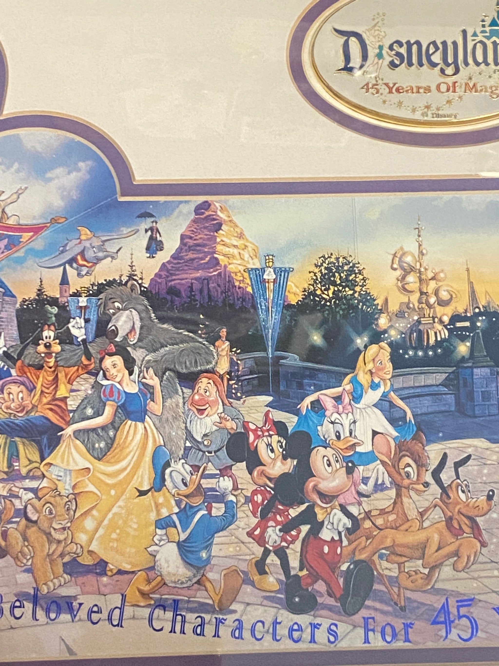 Disneyland 45 Years of Magic Commemorative Framed Print and Pin Numbered