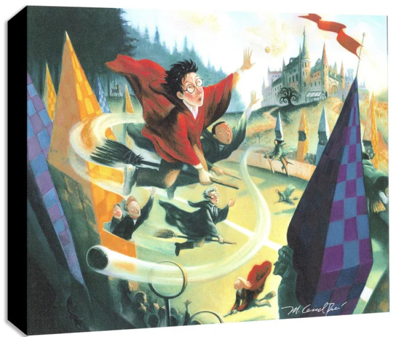 Quidditch - Mighty Mini Collection- Gallery Wrapped On Canvas by Mary Grandpre