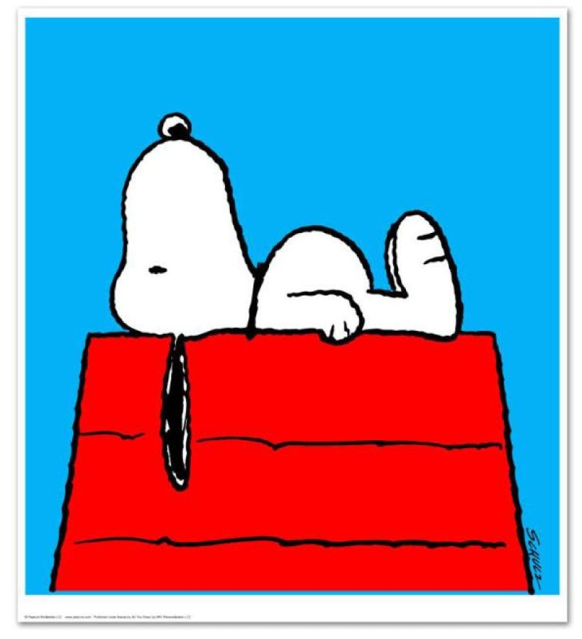 Take A Moment - Limited Edition Art On Canvas - Inspired by Peanuts ...