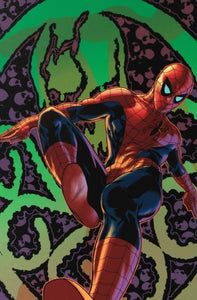 Amazing Spider-Man #524 - By Mike Deodato Jr. - Limited Edition Giclée on Canvas