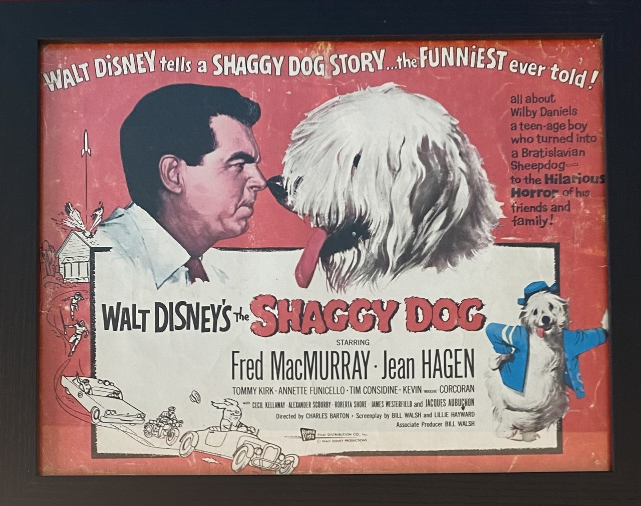 doge original poster